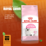 Royal Canin Kitten | Upto 12Month Cat Food 2kg
