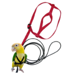 Aviator Bird Harness & Leash Red