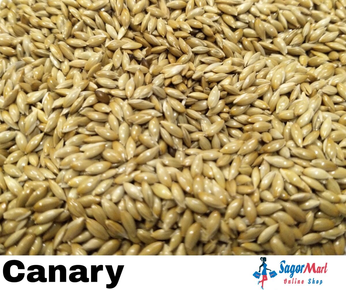 Canary Seed 1Kg Sagor Mart