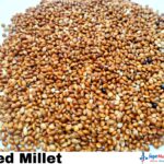 Red Millet-1kg