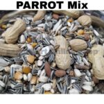 Parrot Seed Mix - 1KG