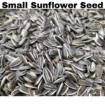 Small Sunflower Seeds-Bird Food 1kg