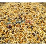 Budgerigar Seed Mix -Imported