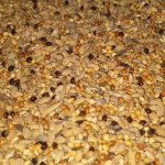 finches Mix birds food 1kg