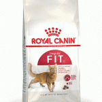 Royal Canin regular fit32 Cat Food 400g