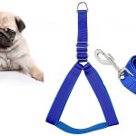Pedigone Blue Puppy Body Harness 1.5m lengthy Dog Harness & Leash Dog Belt for All Breed of Puppy Dogs.