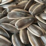 Big Size Sunflower Seed