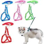 Pet Harness Leash for Cats and Small Dogs