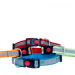 Pets Radium Collar for cats