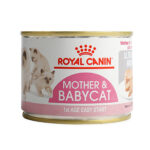 ROYAL CANIN - Mother & Baby Cat 1st Age Easy Start Cat Canned 195g