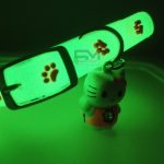 Radium cat collar (Light up)