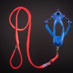 Dog Radium Harness
