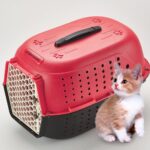 Pet Carrier Travel Box Puppy, kitten And  Cat