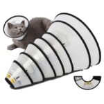 E-Collars for Cats And Dogs