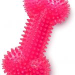 Dog Chew Toys Squeaky Bone Design Pet Toy with Massage Particles