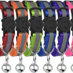 Pet Collar With Ring Colourfully -Ash Radium