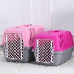 Flight Plastic Travel Pet Air Box Breathable Big Pet Cat Dog Cage