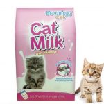 Bearing Cat milk With Taurine 300ml