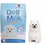 Bearing Dog Milk With Casein 300ml For Dogs