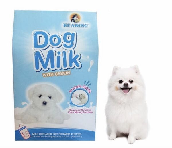 Bearing Dog Milk With Casein 300ml For Dogs