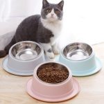 Cats and Dogs Food Bowl   22CM Stainless With Plastic-