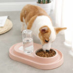 Dog Cat Food Bowl with Water Bottle Puppy Kitten Automatic Water Dispenser Feeder