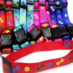 Colourfully Collar For Dogs