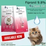Fipronil 9.8% Spot On For Cats