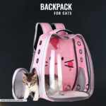 Transparent Backpack For Cats - Bag