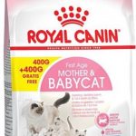 Royal Canin Cat Food 1st Age Mother & Baby Cat 800G (400g+400G Free)