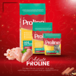 Proline Adult Cat Food Chicken 400g