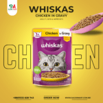 Whiskas Chicken in Gravy (1+ Years) Wet Food For Adult Cat - 80gm