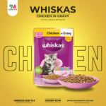 Whiskas Chicken in Gravy (2-12 Months) Wet Food For Junior Kitten - 80gm