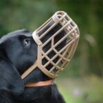 Gabby Adjustable Quick Fit Plastic Dog Muzzle - Color: Beige (Medium Size: 5)